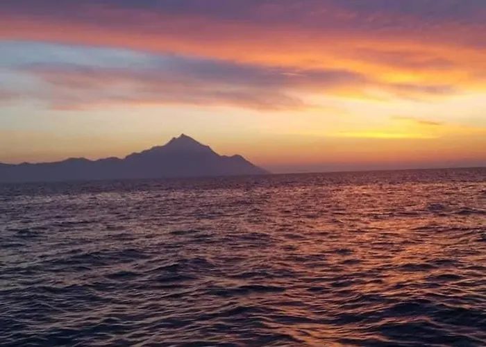 αvli Superior No5 *