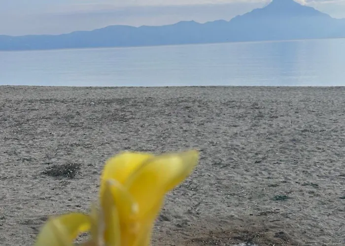 αvli Superior No5 Appartement