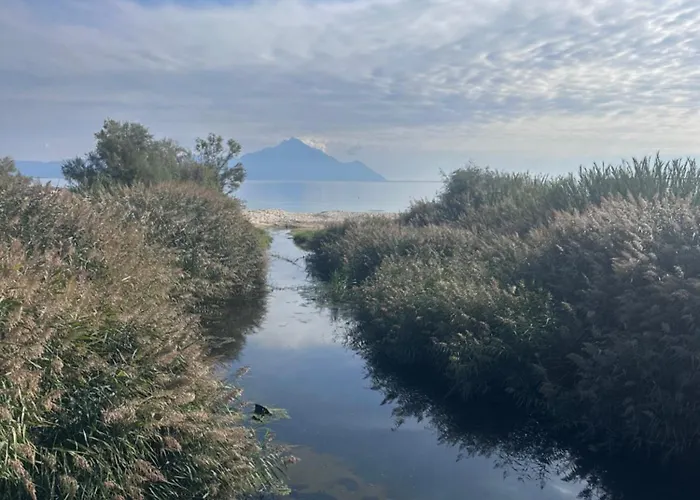 αvli Superior No5 Appartement