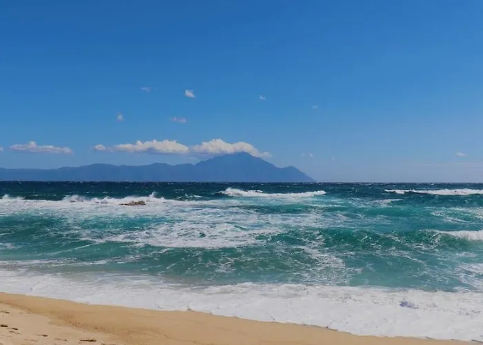 αvli Superior No5 *